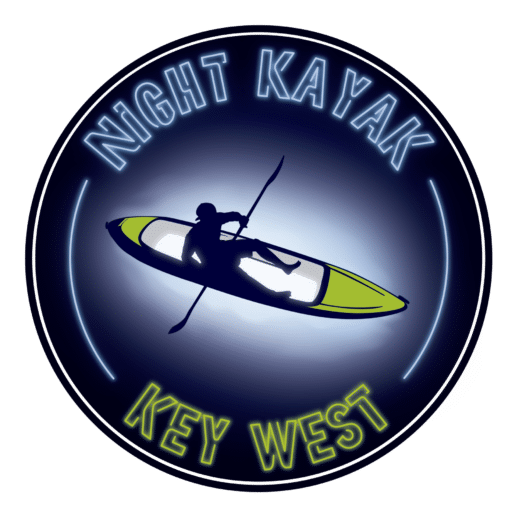 Night Kayak logo