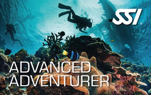 Divers exploring a vibrant coral reef underwater with colorful fish.