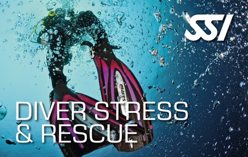 Diver underwater with fins and bubbles, focused on stress and rescue training.