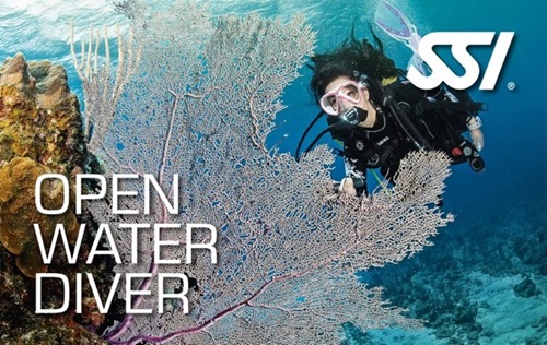 Scuba diver exploring coral reef underwater with SSI logo