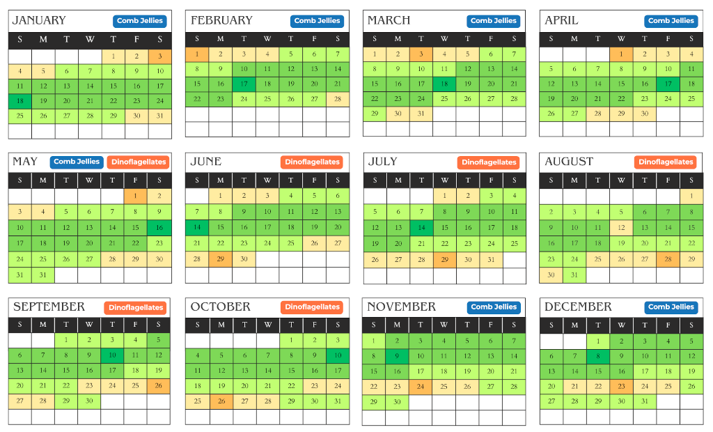 2026 bioluminescence moon calendar showing best kayak tour dates near Orlando and Cape Canaveral
